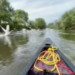 River Kayaking