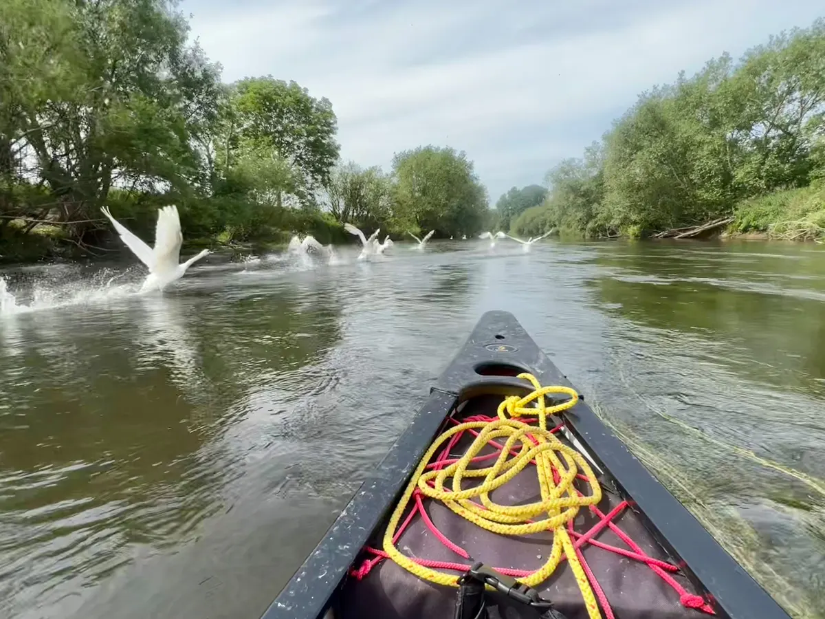 River Kayaking